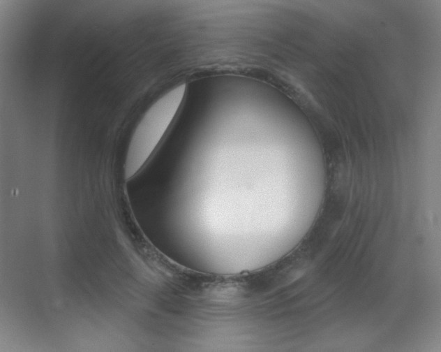 X0000070400643200606090931