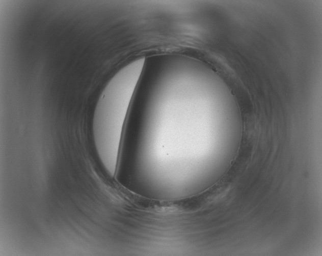 X0000070400645200606090931