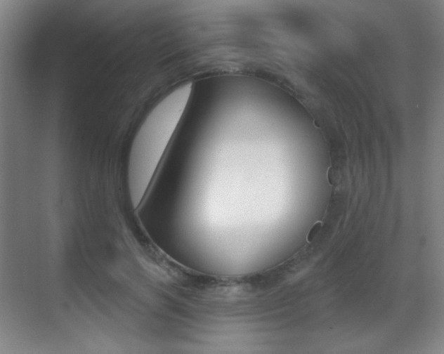 X0000070400646200606090931