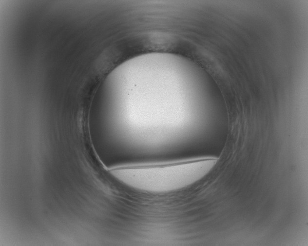 X0000070400647200606090931