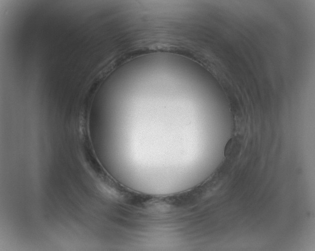 X0000070400648200606090931