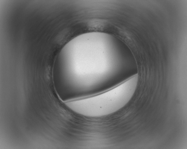 X0000070400649200606090931
