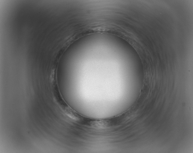 X0000070400652200606090931
