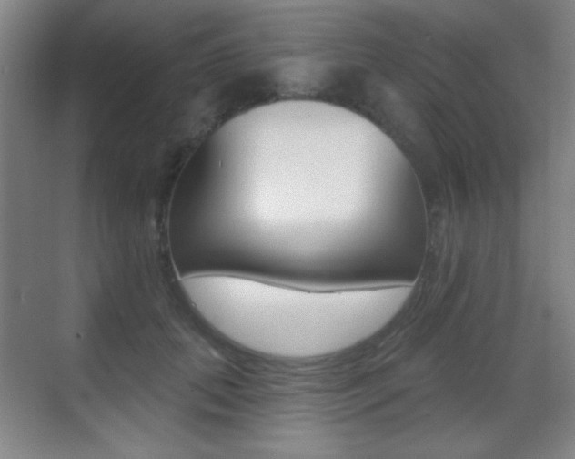 X0000070400655200606090931