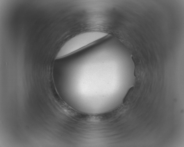 X0000070400656200606090931