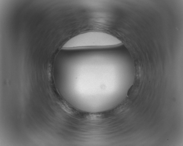 X0000070400664200606090931