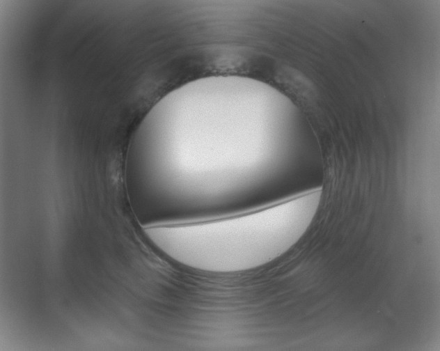 X0000070400665200606090931