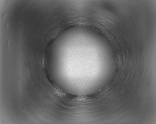 X0000070400668200606090931