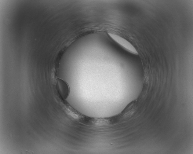 X0000070400670200606090931