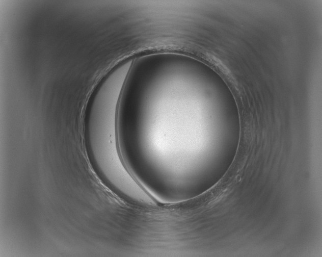 X0000070400673200606090930