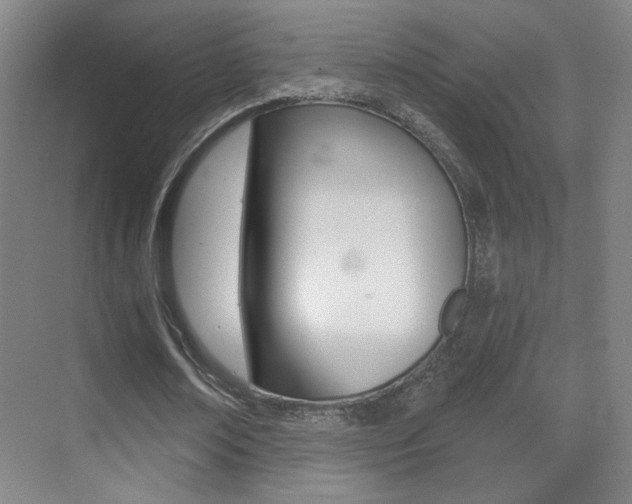 X0000070400674200606090930