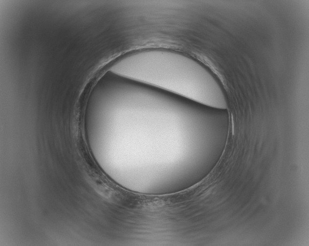 X0000070400675200606090930