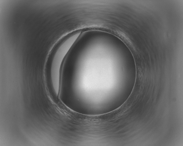 X0000070400676200606090930