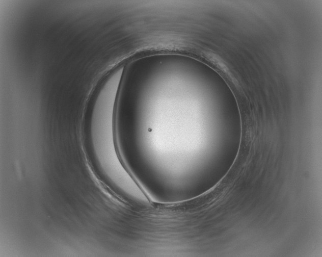 X0000070400677200606090930