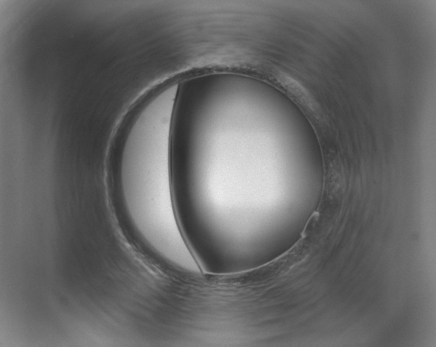 X0000070400680200606090930