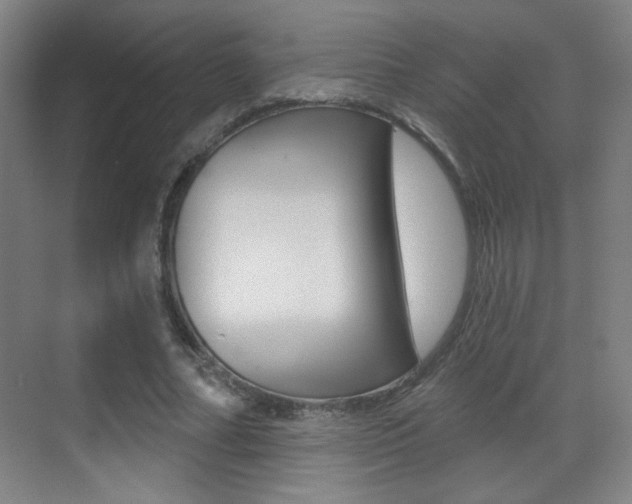 X0000070400682200606090930
