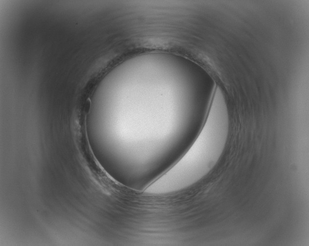 X0000070400688200606090930