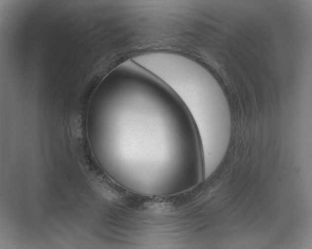 X0000070400689200606090930