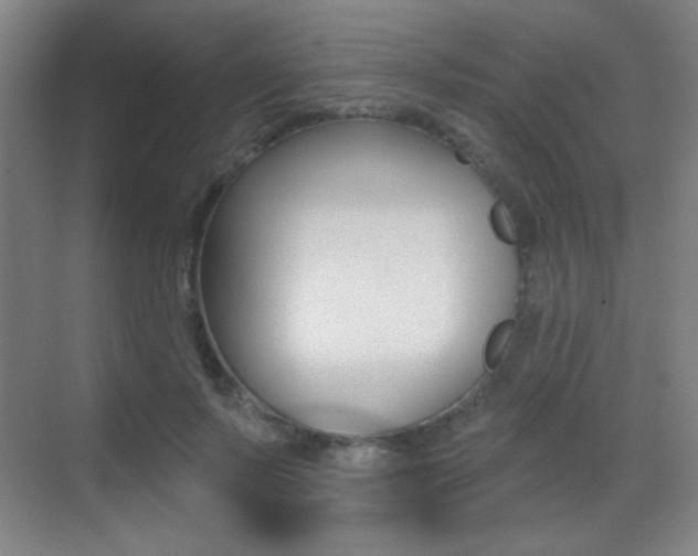 X0000070400695200606090930