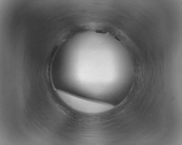 X0000070400696200606090930