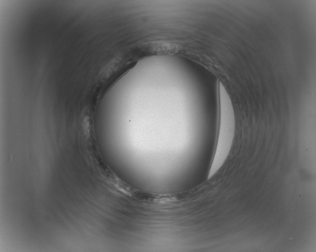 X0000070400716200606090929