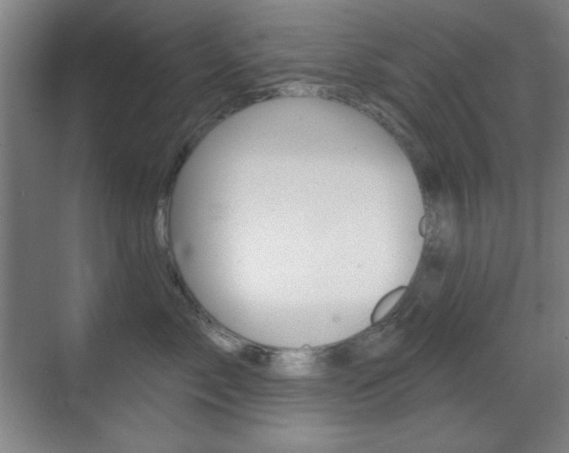 X0000070400717200606090929