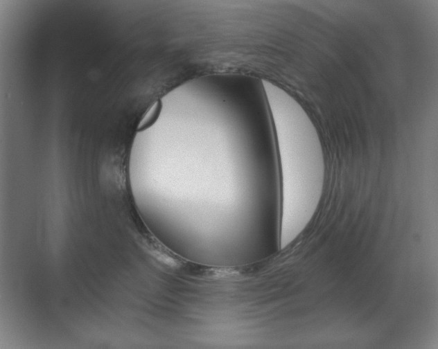 X0000070400719200606090929