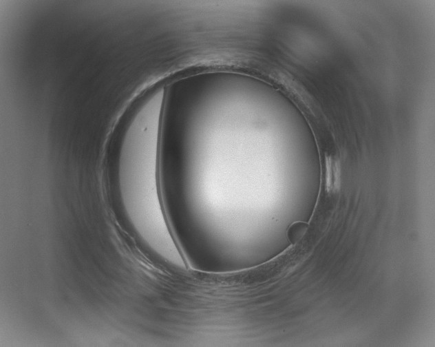 X0000070400723200606090929