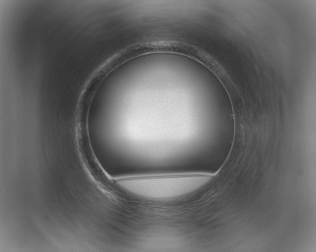 X0000070400728200606090929
