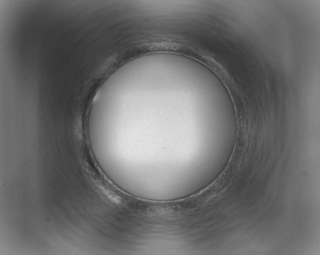 X0000070400729200606090929