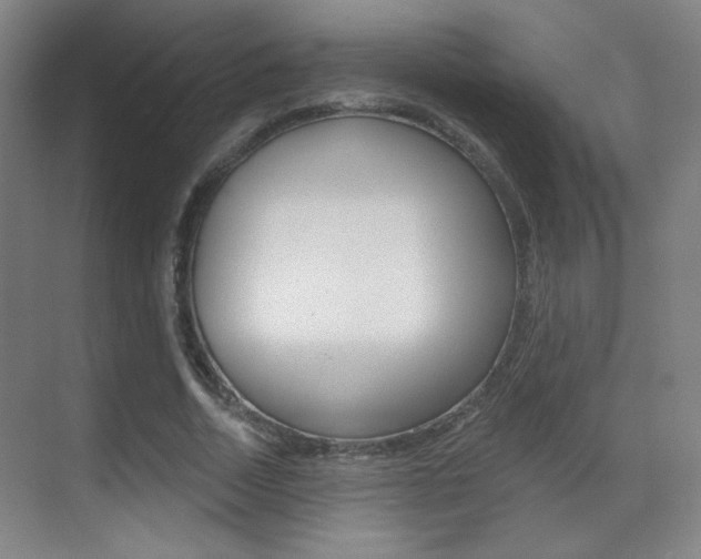 X0000070400730200606090929