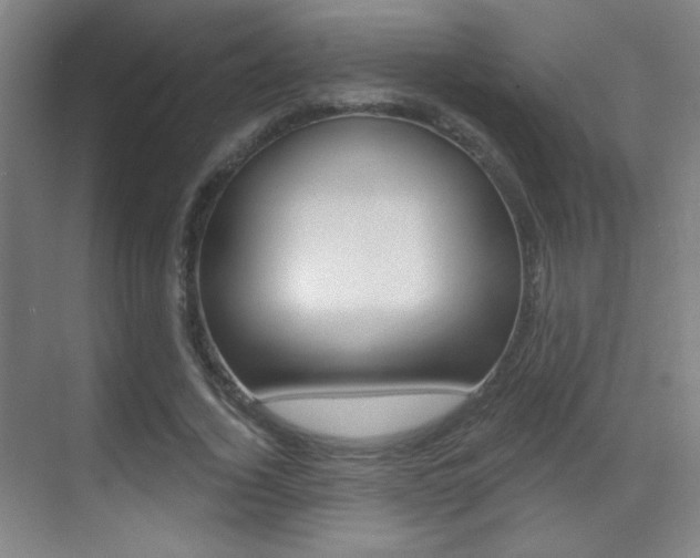 X0000070400732200606090929