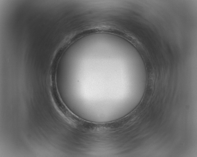 X0000070400734200606090929