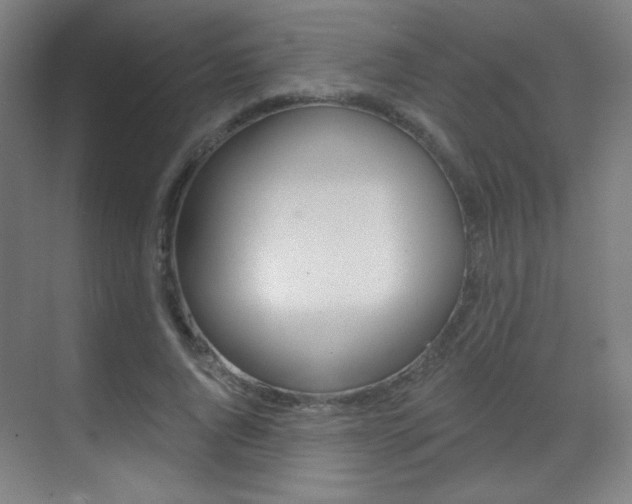 X0000070400736200606090929