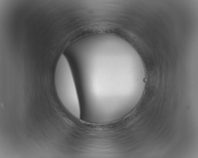 X0000070400737200606090929