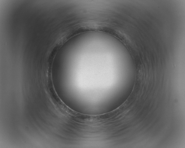 X0000070400739200606090929