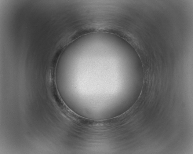 X0000070400740200606090929