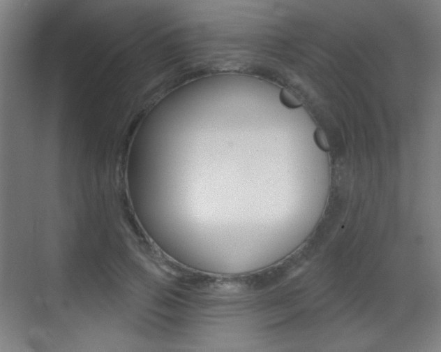 X0000070400741200606090929