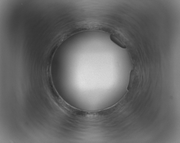 X0000070400744200606090929