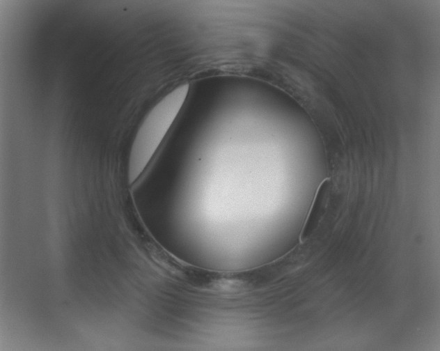 X0000070400748200606090929