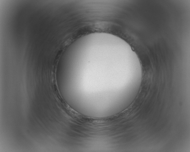 X0000070400749200606090929