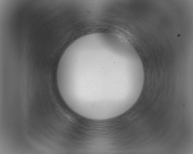 X0000070400750200606090929