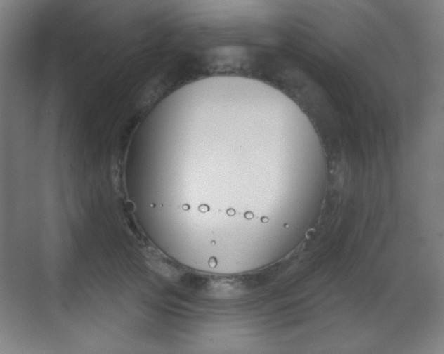 X0000070400753200606090929