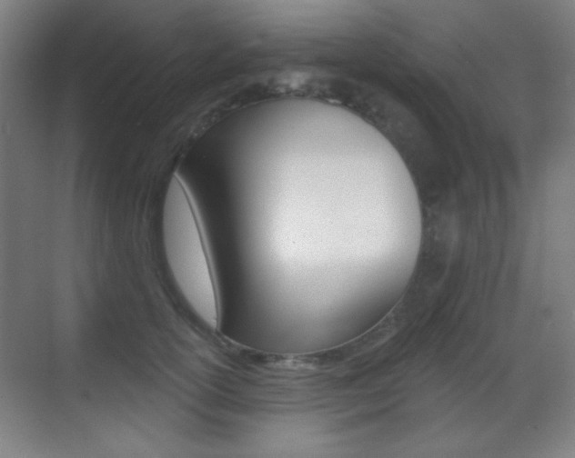 X0000070400754200606090929