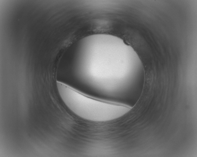 X0000070400755200606090929
