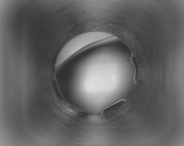 X0000070400756200606090929