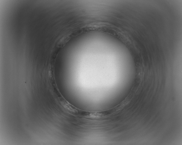 X0000070400758200606090929