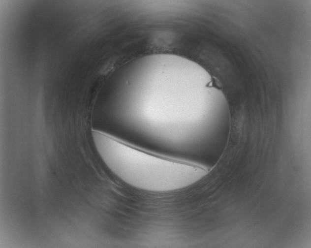X0000070400759200606090929