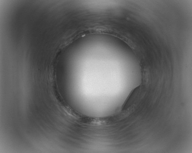 X0000070400760200606090929