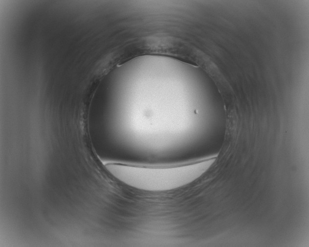 X0000070400762200606090929